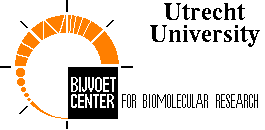 Bijvoet Center Logo