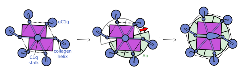 Surface trigger postulate