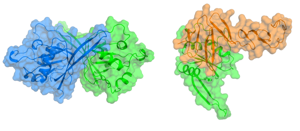 ZRNF3-Rspo1 complex
